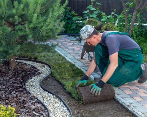 Landscape Gardener Laying Turf For New Lawn