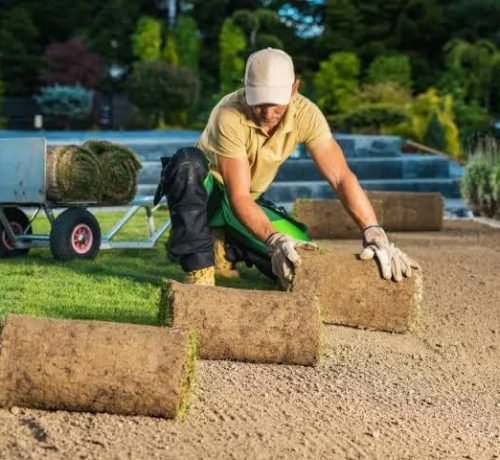 affordable landscaping